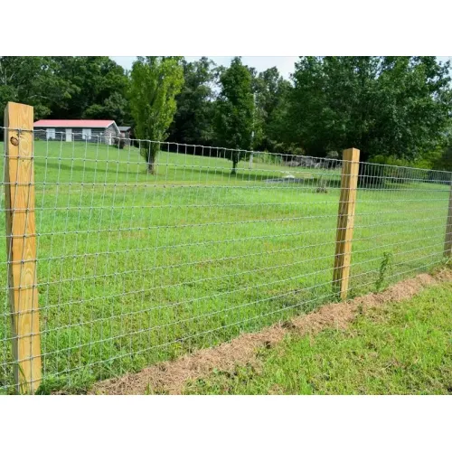 Galvanized Wire Horse Grassland Net Safety Fence