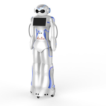 2020 Humanoid Intelligent Guide Robot for Design Reception Services