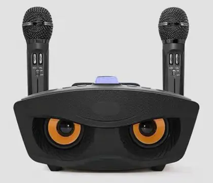 Karaoke Speaker 30W Speaker with Mic