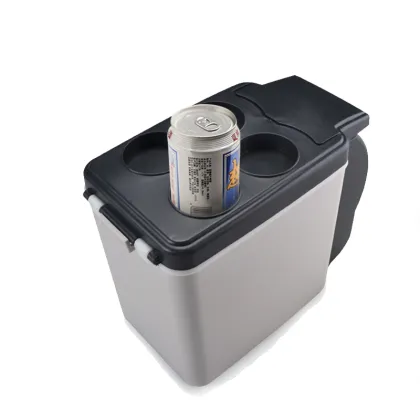 Customized Mini Refrigerator Car
