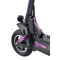 Scooter eléctrico de 10 pulgadas 700W