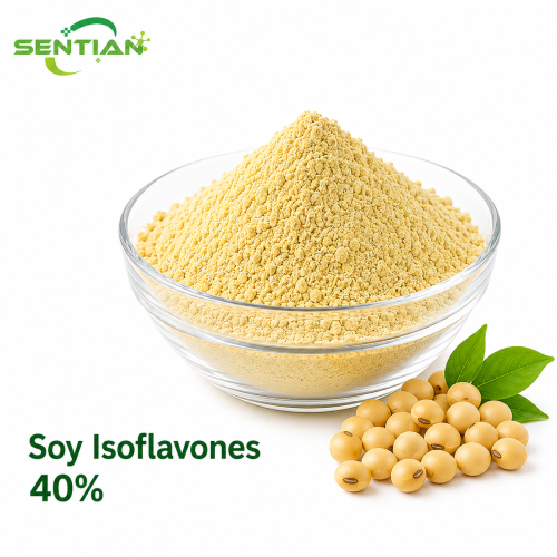 Premium Soy Isoflavones for Hormonal Balance and Wellness
