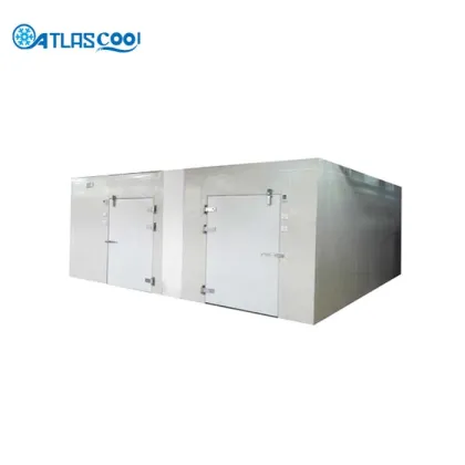 Apple fruit cold storage room