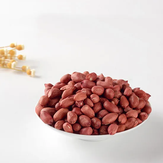New crop good quality red skin peanut kernels