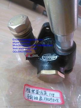 Hand oil pump
