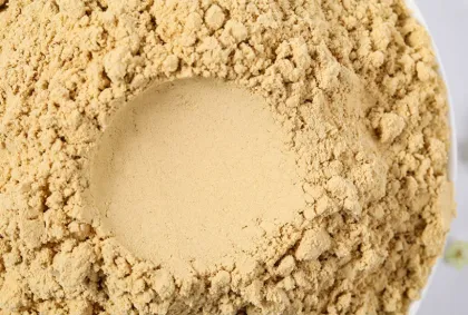 Good Benefit World Spice Roasted Ground Ginger Powder
