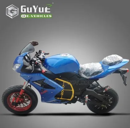 Adult Mini Electric Motorcycle