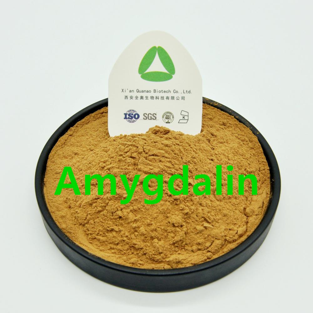Extrait pur d'amande amère Extrait de noyau d'abricot Amygdaline