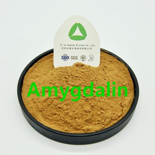 Bittere amandel extract abrikoos kernel extract 10% amygdalin