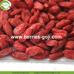 Fabrika Süper Gıda Kurutulmuş Best Goji Berries