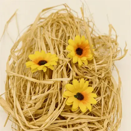 Easter Bird 's-nest grass