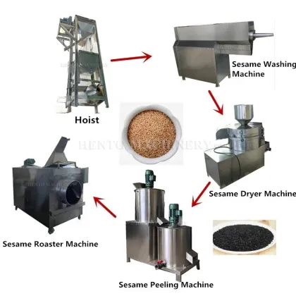Sesame Seed Processing Machines in India