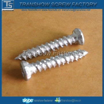 Concrete Frame Screws Ruspert Coating