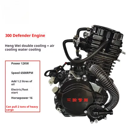 Search Engine for Motorcycle Engines: Hanwei 300 Liquid-Cooled Trike Engine, Zongshen Engine & More