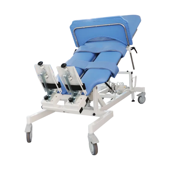 Electric Standing Up Bed Lying Down Multi-functional Tilting