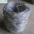 Hot Sale High Quality Barbed Wire For Protection