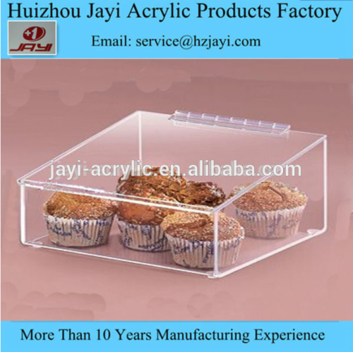 China supplier wholesale acrylic cupcake boxes and packaging/plastic cupcake containers