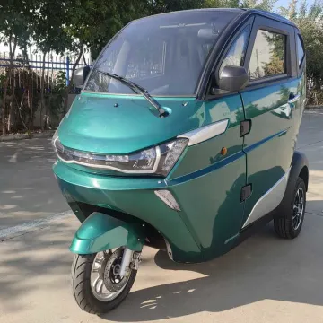 2023 New High Quality Adult EEC Lead Acid Battery Double Door Low Speed Three Wheel China Electric Car Coc Certificate