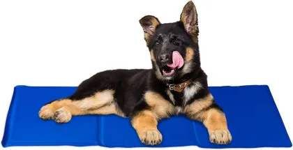Cooling ice mat for dog