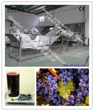 The reliable supplier for industrial raspberry paste production line / fruit processing equipment