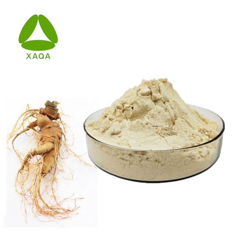 Ekstrak Akar Panax Notoginseng 10% Notoginsenoside Powder