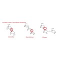 Isomalto-Oligosaccharidsirup für Lebensmittelfic