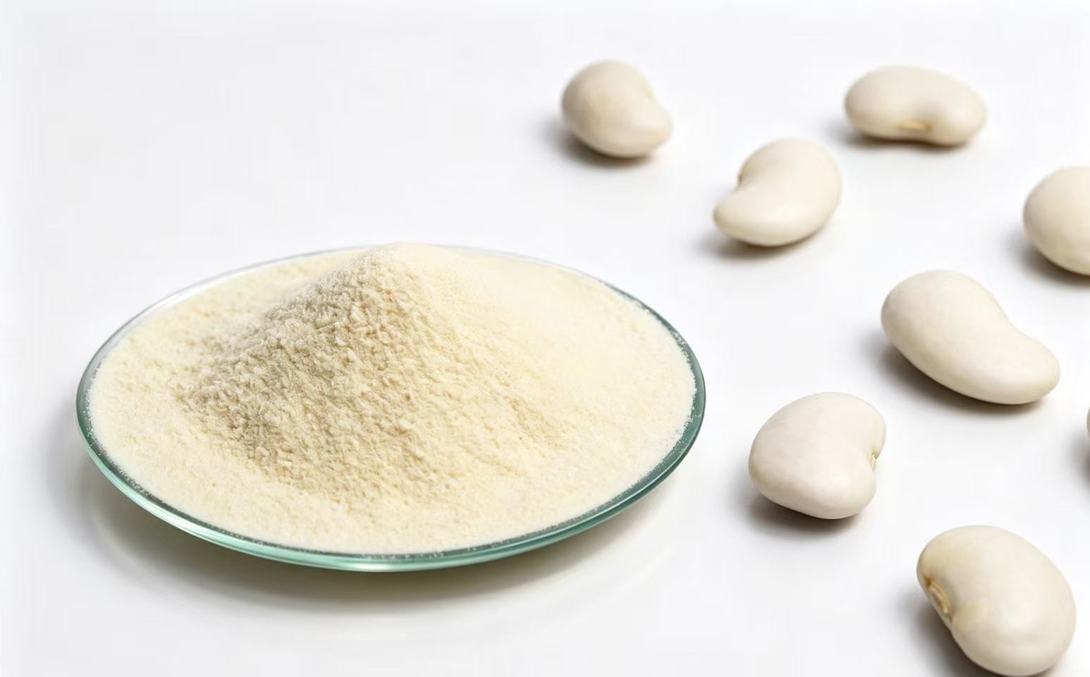 White kidney bean extract