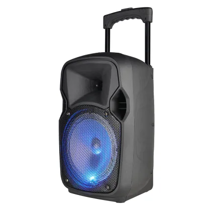 Speaker on trolley box