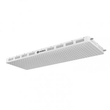 Terapia de luz LED infrarroja de Office Home 660nm 850nm