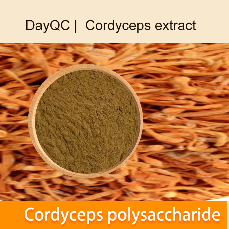 Cordyceps extrai o polissacarídeo Cordyceps