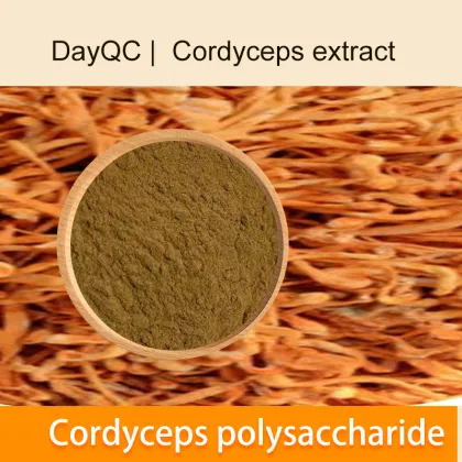 cordyceps extract Cordyceps polysaccharide