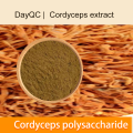 Cordyceps استخراج Cordyceps polysaccharide