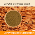 Cordyceps estratto Cordyceps Polisaccaride