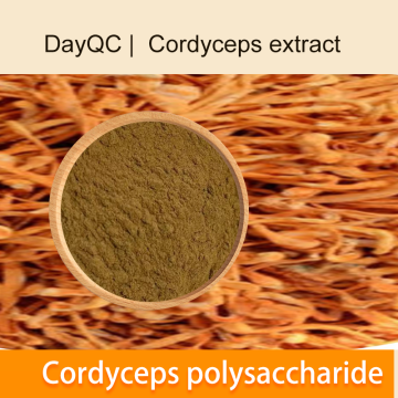 cordyceps는 다당류를 추출합니다