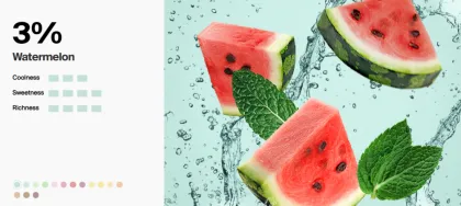 Vape Pod Snow Plus Puff Plus 300 puffs