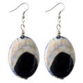 Natural Gemstone Agate Earring