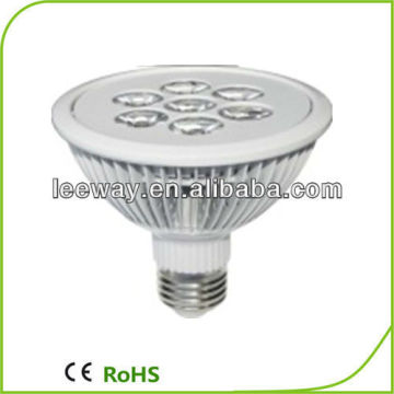 Par30 Led Spotlamp