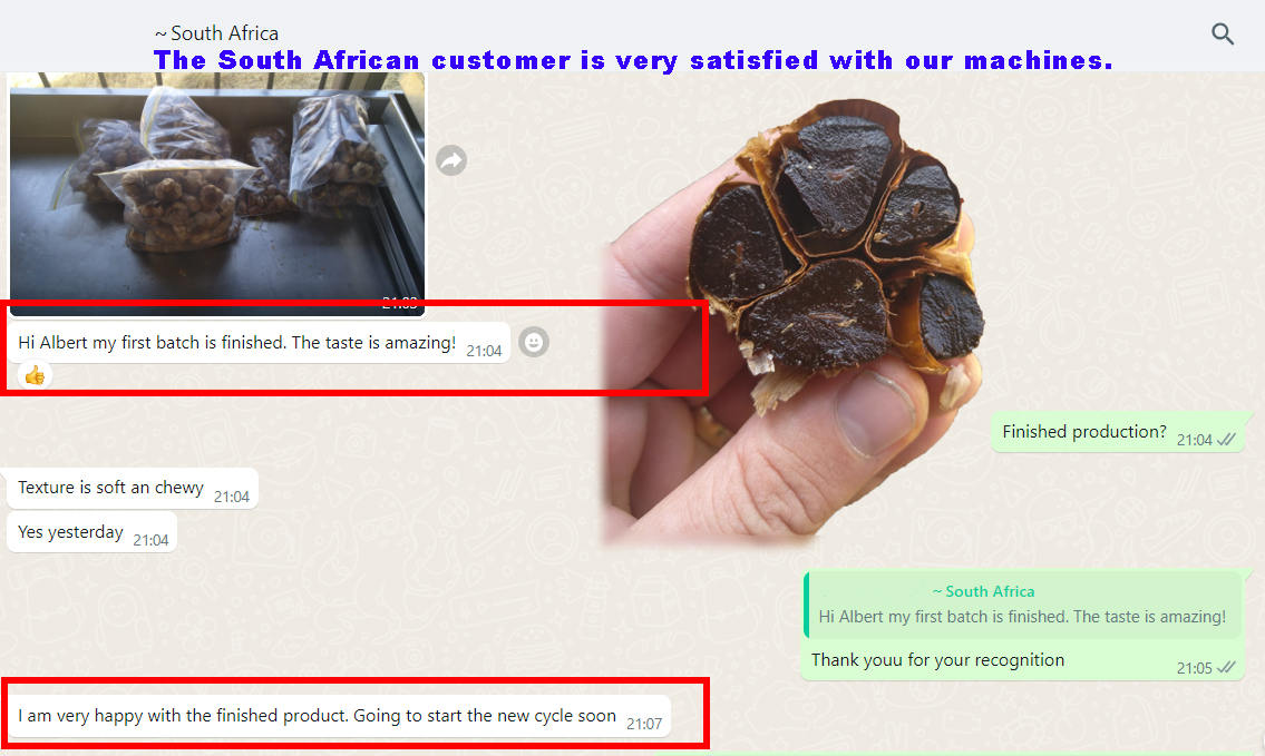 black garlic produciton 