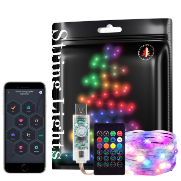 DC5V Smart Fairy String Lights - WS2812B RGB IC USB Bluetooth MES