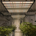 Commercial Use Of Professional Hydroponics LED Light