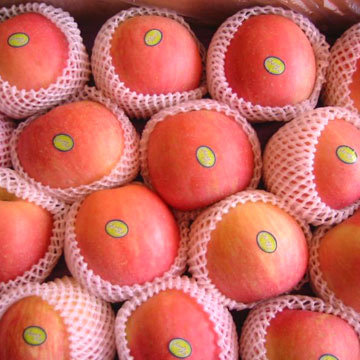 fresh apple