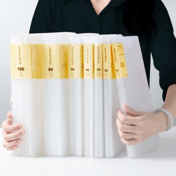 Clear Document Bag - A4 PP File Folder Bag for Office and School