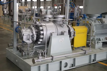 Search Engine Title: NGL Reinjection Pump for Gazprom GPP Project: Optimizing Light Hydrocarbon Handling