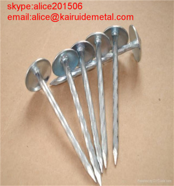 Galvanized Umbrella Roofing Nail