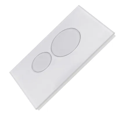 ABS Plastic Dual Flush Wall-Mounted Toilet Flush Plate