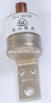 Vacuum Interrupter (TJ-1.14/125C)