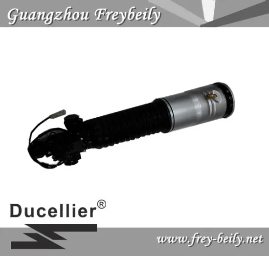 37126791675/ 37126791676 Left Rear/ Right Rear Air Suspension Shock for BMW 7-Series F02