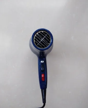 DC Motor Barber Shop Appliances Electric Hair Dryer