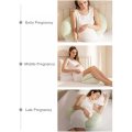 3in1 Maternity Pillow with Detachable Pillow Cover