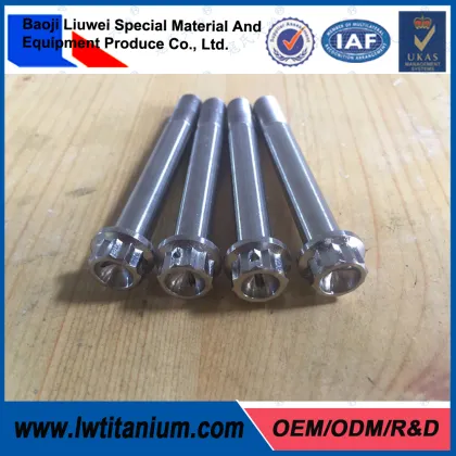 Polished 12 Point Ti-6Al-4V Titanium Rim Screws